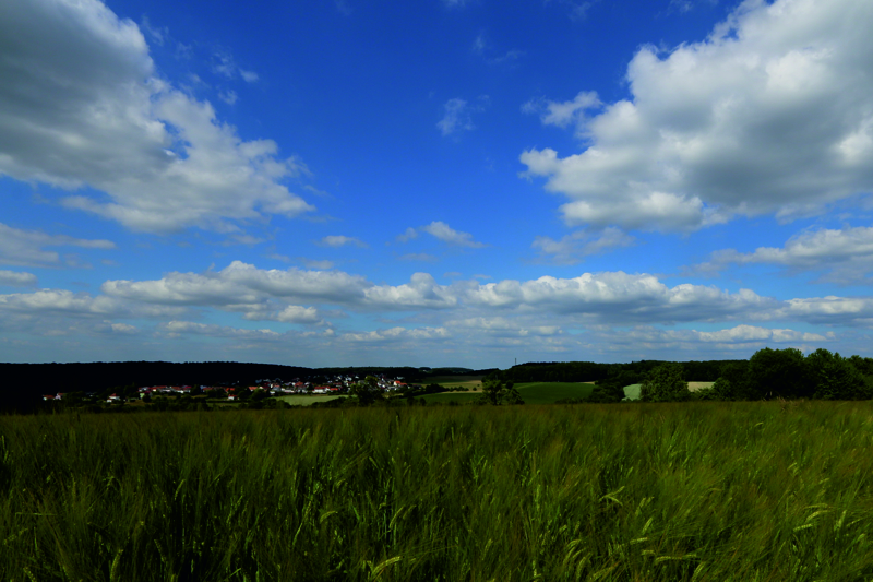 Windsberg vom Langenberg aus mit Getreidefeld im Vordergrund (Bestellnummer: 09). 