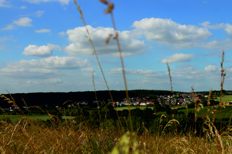 Windsberg vom Langenberg aus mit Wiese im Vordergrund (Bestellnummer: 10). 