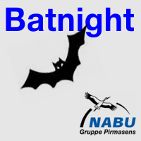 Artikelbild - NABU Batnight