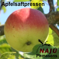 Artikelbild - NAJU Apfelsaftpressen