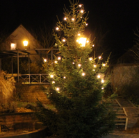 Frohe Weihnachten und beste Wünsche für das Jahr 2014!