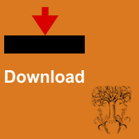 Downloadbereich eingerichtet